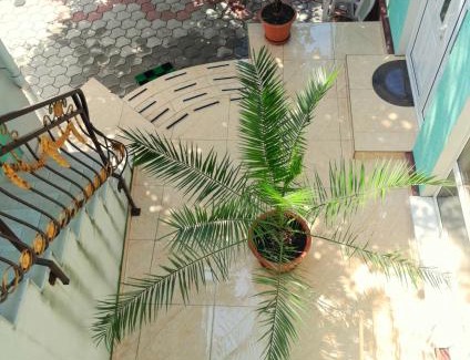 Chisinau House | Guest House Sirius