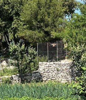 Jala House | Guest House Vatra