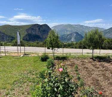 Jala House | Guest House Vatra
