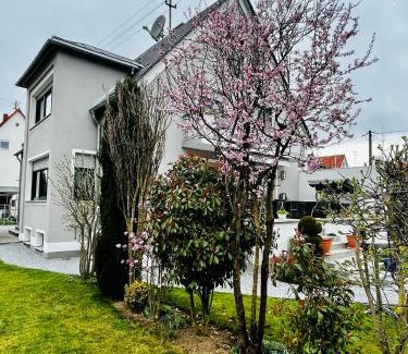 Oberhausen-Sud House | Guesthouse David