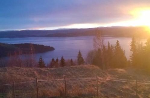 Trøndelag Apartment | Guesthouse Hamran