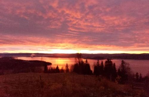 Trøndelag Apartment | Guesthouse Hamran