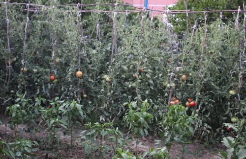 Berat House | Guesthouse Leo