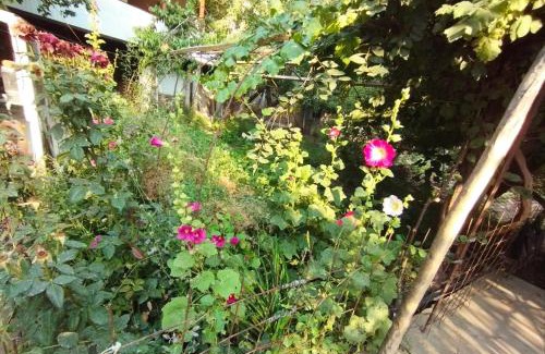 Sughd Province House | Guldara Guest House