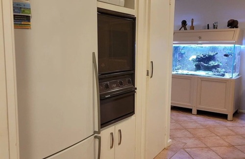 Scarborough House | Gumtree Hideaway 3 bed home 3km to beach Dogs Ok sleeps 6