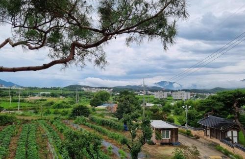 Gyeongju House | Gyeongju Eodi-aeseo Watni Pension