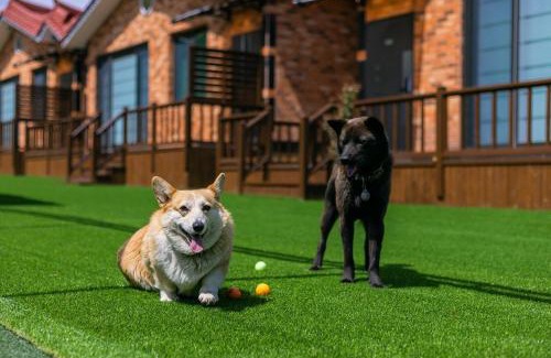 Gyeongju House | Gyeongju Helper pet Pension