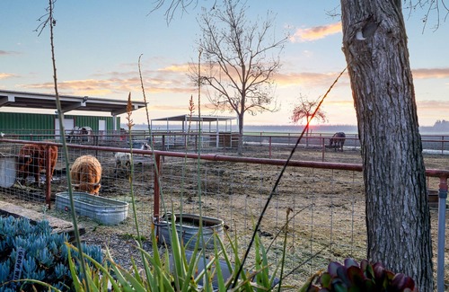 Tulare Apartment | Gym, Pool Table, & Country Views @ The Sunset Loft | 2 Bed, 1 Bath