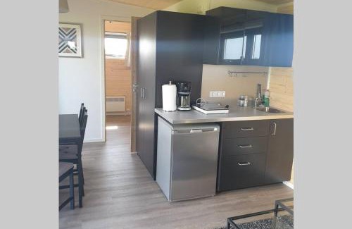 Selfoss Apartment | Hólmasel Riverside Cabin 2