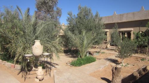 Merzouga Hotel | Hôtel Camping La Liberté