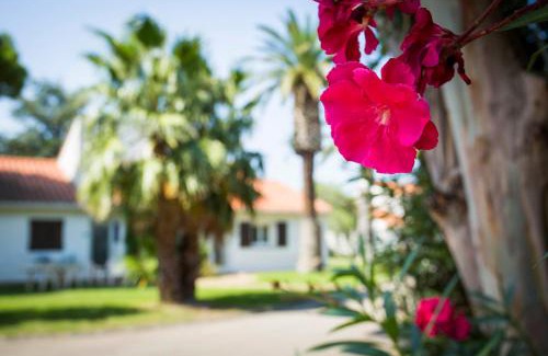Alenya Hotel | Hôtel Le Domaine du Mas Blanc by Popinns