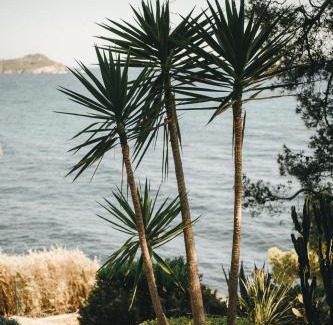 Giens Hotel | Hôtel Le Provençal - Rénové en 2025 - Bord de Mer