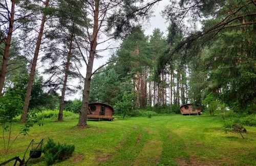 Kambja Other | Hõbesoo Puhkekeskus