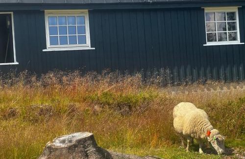 Loten Municipality House | Høstkos og ro på Budor i vinterferien , 4 roms hytte med peis og wifi