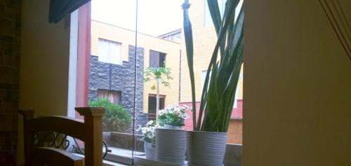 Ate House | Habitaciones con todos los servicios en Lima Este a 1 cuadra del Banco de Crédito Sede Central