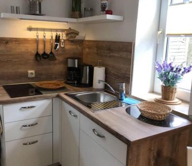 Zingst Apartment | Haegerende Alte Liebe