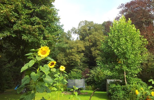 Muritz House | Half of the house with a large garden, pool, campfire and smoker