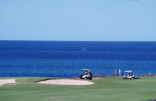Waikoloa Apartment | Halii Kai 9G condo
