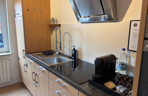 Oestrich-Winkel Apartment | Hallgarten Rebe 11