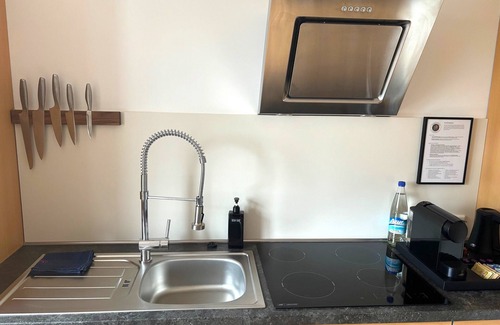 Oestrich-Winkel Apartment | Hallgarten Rebe 11