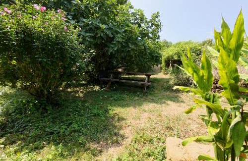 Plaisance Bed & Breakfast | Halte de d'Artagnan