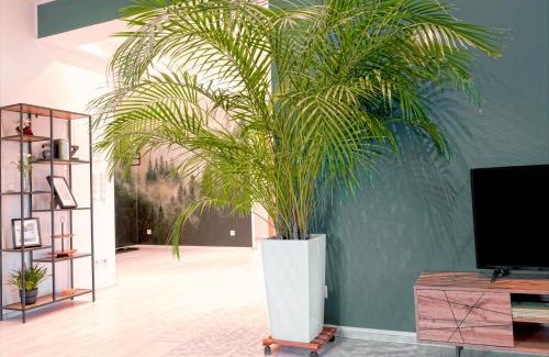 Lippstadt Apartment | HAMA Design Homes Lippstadt