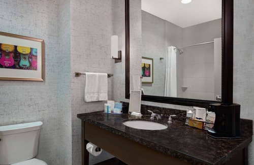 Museum District Hotel | Hampton Inn & Suites Austin @ The University/Capitol