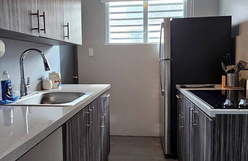 Santurce Apartment | Hands Down La Placita BEST STAY!