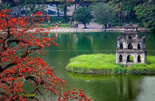 Hang Trong Hotel | Hanoi Solis Hotel