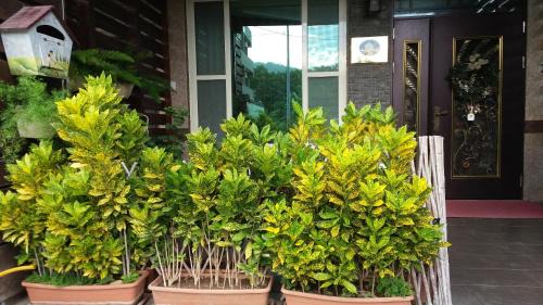 Taitung House | Happy Heart B&B