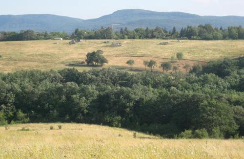 Magyarkut House | Harangvirág 36 Faház
