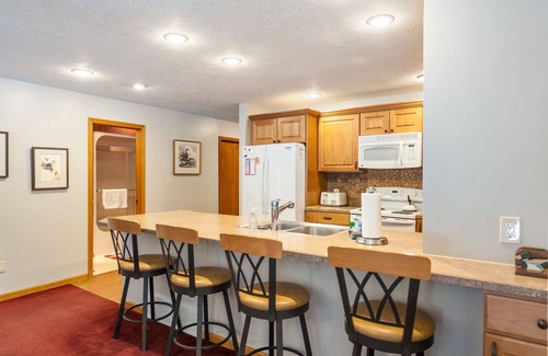 Harbor Springs Condo | Harbor Cove 108 SKI! Beach! Tunnel of Trees!