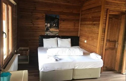 Kocasinan Cabin | Harmancık eko turizm tesisleri
