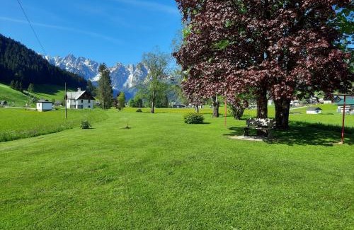 Gosau Apartment | Haus Grünwald