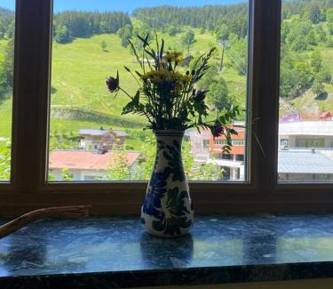 Dienten am Hochkoenig House | Haus Pistenblick