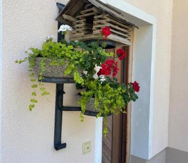 Dienten am Hochkoenig House | Haus Pistenblick