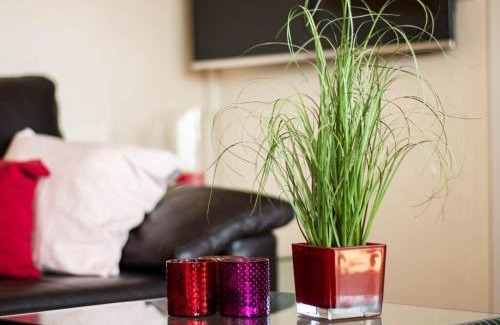 Wangerooge House | Haus Seeluft Apartment 32