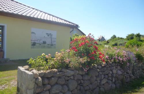 Dranske House | Haus Wildrose