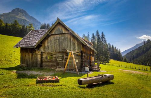 Zederhaus House | Hauserlhütte