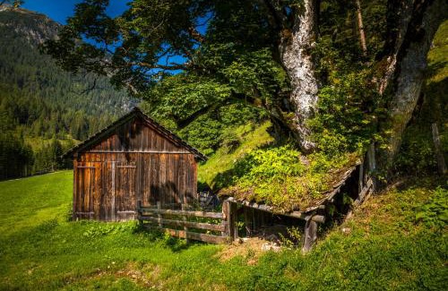 Zederhaus House | Hauserlhütte