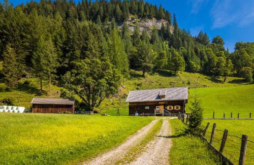 Zederhaus House | Hauserlhütte