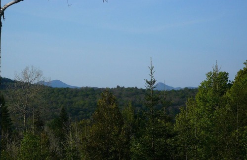 Essex County Cabin | Have a cup of coffee, beer or glass of wine at this writer's retreat