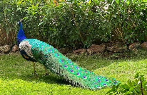 Saly Niakhniakhal Villa | Havre de paix à Saly résidence Mareva moins de 5 mn à pied de la mer