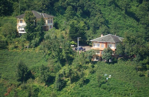 Cayeli House | Haytef Erenler Konut