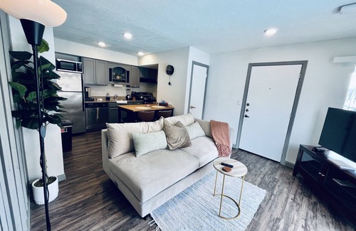 Texas Medical Center Apartment | Heart of Houston NRG - TMC studio @ Main Street 77030