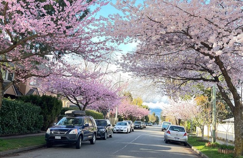 Kitsilano House | heart of Kitsilano area, 5 mins walk to kits beach