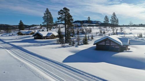 Oystre Slidre House | Hedda Robølshøvda - 3 bedroom cabin with a lovely view