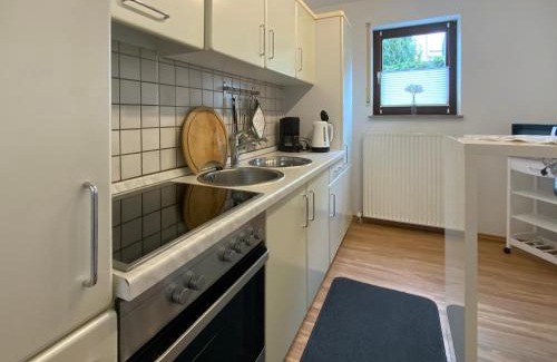 Mainz-Bingen Apartment | Helle FEWO, 60 qm, Souterrain, eigener Eingang, Rhein und Nahe