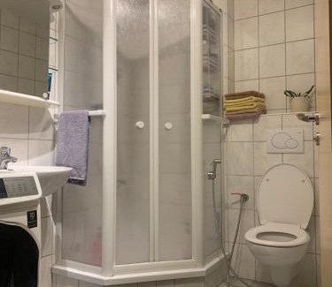 Schenkendobern House | Helles Dachzimmer