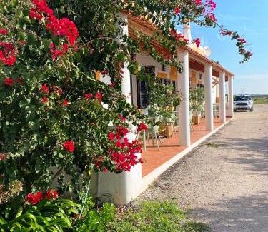Faro House | Herdade dos Salgados do Fialho